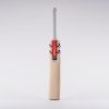 Gray-nicolls-Alpha-Gen-1.0-5-star-cricket-bat