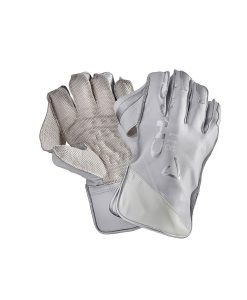 Chase R11 wicketkeeping Cricket Gloves