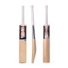 Salix Acid Fluoro G2 Cricket Bat