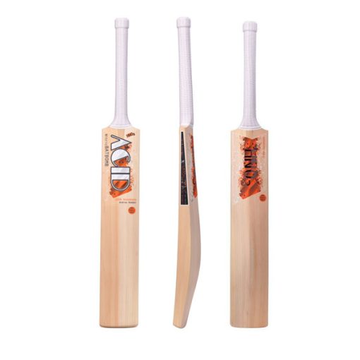 Salix Acid Nitric G3 Cricket Bat