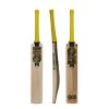 Gunn & Moore Psyche 606 Junior Cricket Bat 2024