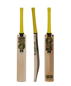 Gunn & Moore Psyche 606 Junior Cricket Bat 2024