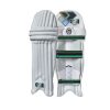 Gunn & Moore Aion Cricket Batting Pads 2025