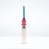 Gray Nicolls Stratos Gen 1.0 Cameo Junior Cricket Bat