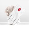 Gray Nicolls Classic Select Cricket Wicketkeeping Gloves